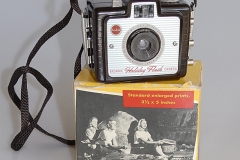 Brownie-Holiday-Flash